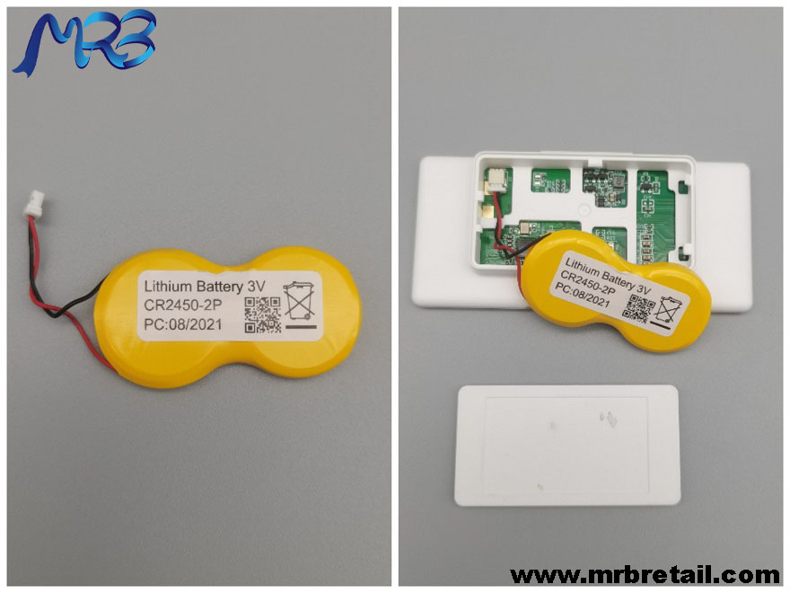 2.66 inch na elektronikong presyo ng label na baterya