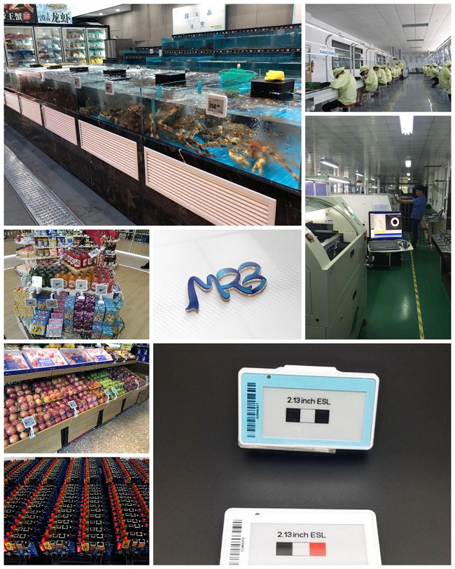 https://www.mrbretail.com/mrb-electronic-pricetag-hl213f-for-frozen-food-product/