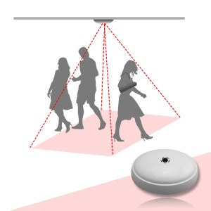 008 safe counting (1)