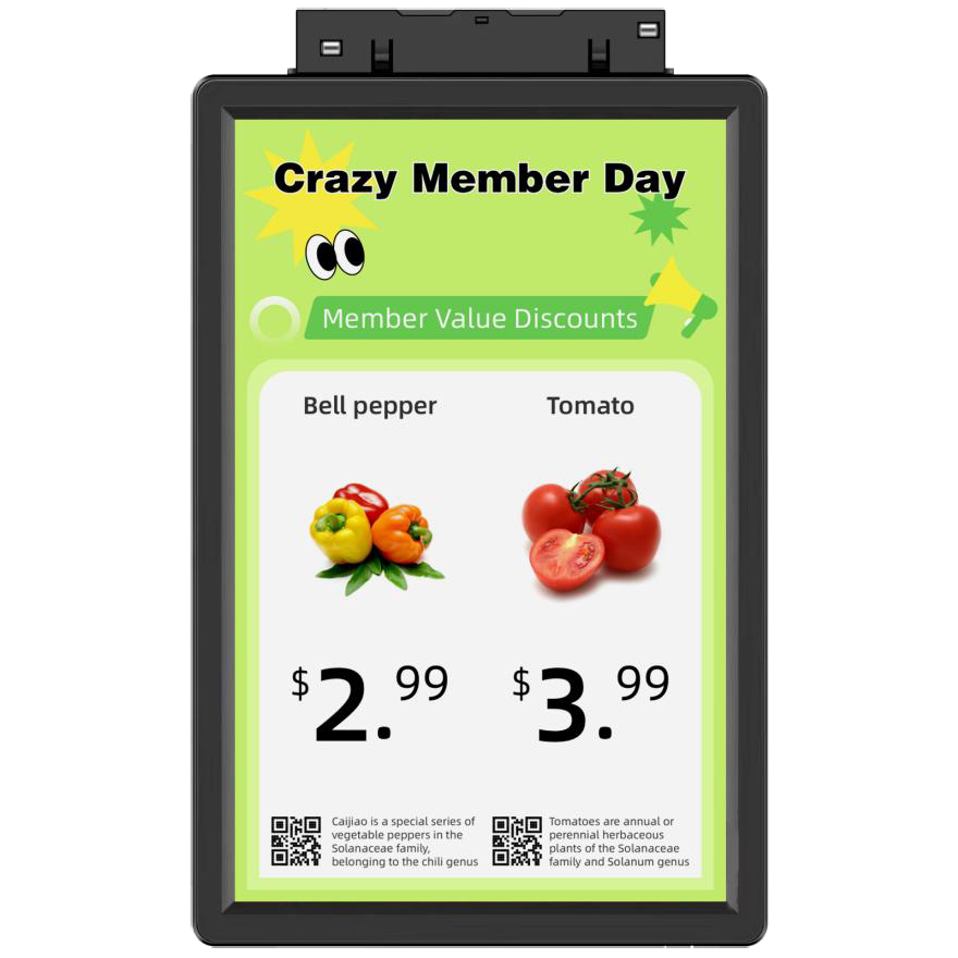 10.1 Inch Single-Side LCD Shelf Display (3)