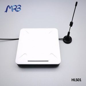 Factory Free sample Pricer Digital Tags - MRB ESL base station HLS01 – MRB